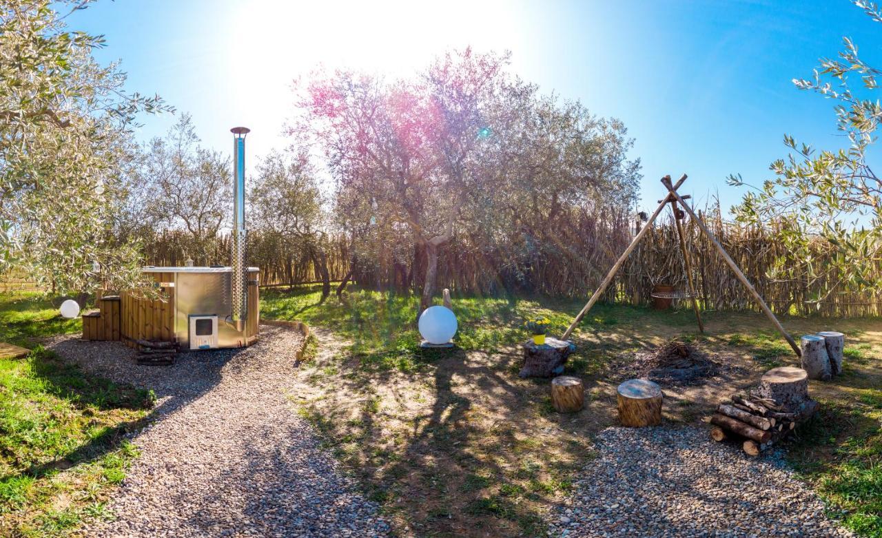 2 Cuori E 1 Yurta Glamping In Tuscany - Adults Only アッシャーノ エクステリア 写真